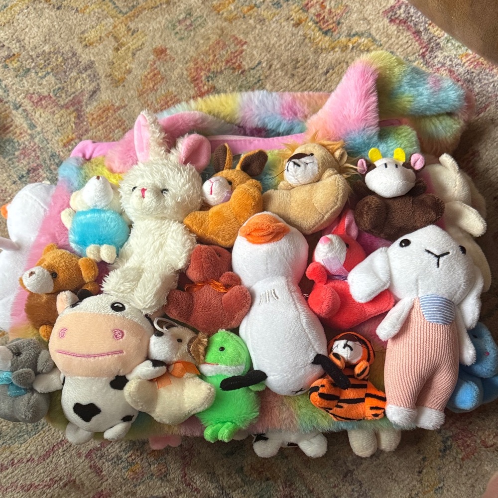 Amazing!!!! Assorted Kids Plush Toy Bag - Multicolor Soft Animals so unique